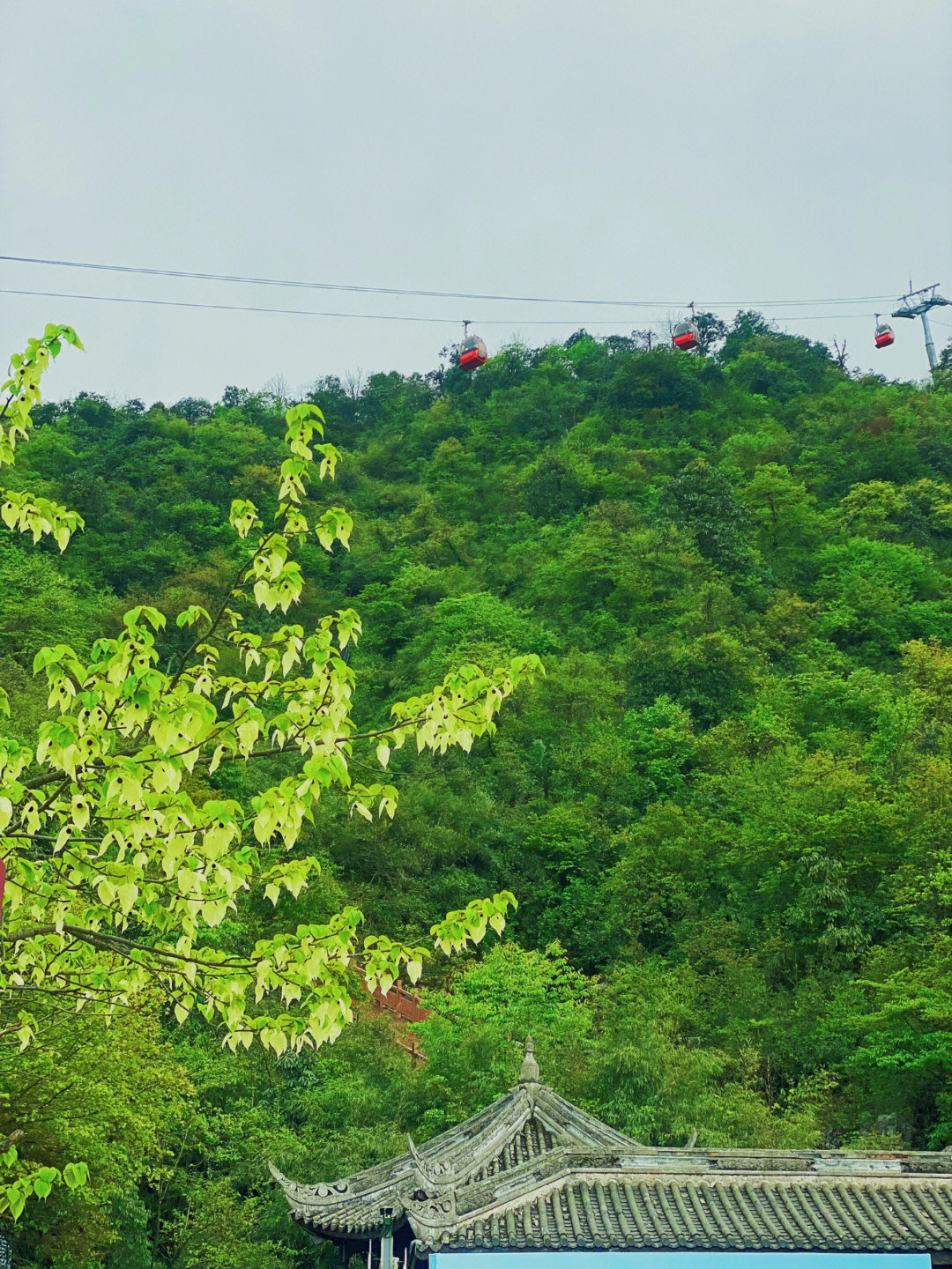 瓦屋山旅游攻略(瓦屋山为什么不能去)