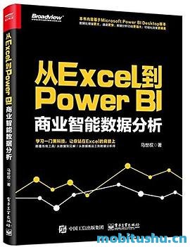 从ExceL到PowerBI商业智能数.pdf 马世权 Excel基础结合Power BI