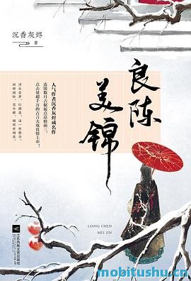 良陈美锦.epub 沉香灰烬（闻檀） 重生宅斗小说