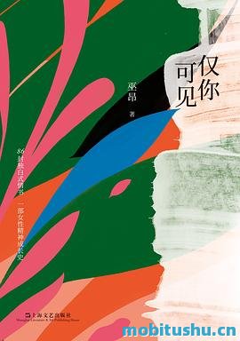 仅你可见-巫昂.pdf