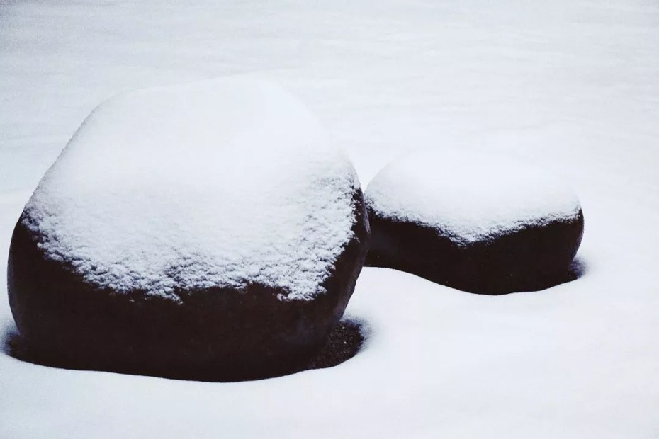 融雪煎香茗