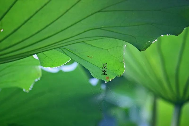 2017年夏至(2017年夏至日)