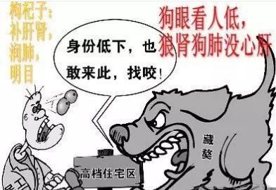 巢之安吃了效果如何?巢之安吃好了有没有反感