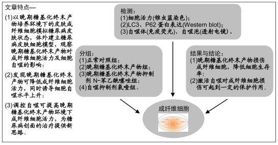 中药粉碎成末药效如何?中药用粉碎机会影响药效吗