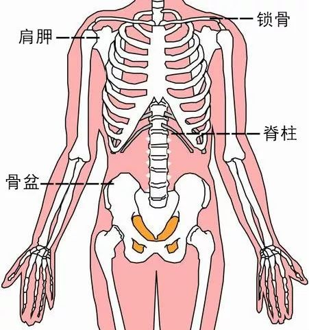 如何放松喉咙肌肉?怎么放松喉咙周围的肌肉