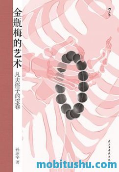 金瓶梅的艺术: 凡夫俗子的宝卷 epub mobi azw3 孙述宇 赏析文集