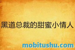 黑道总裁的甜蜜小情人.mobi 昕晨 现代都市网络小说