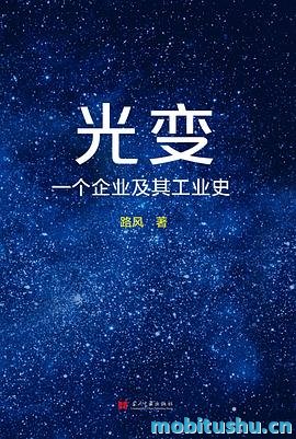 光变：一个企业及其工业史.azw3 路风 京东方在全球高技术工业中的崛起过程