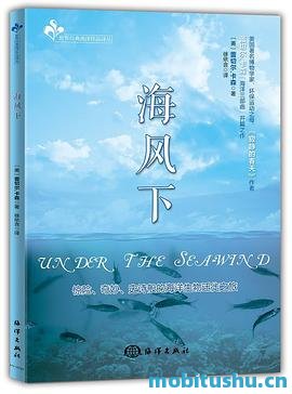 《海风下》