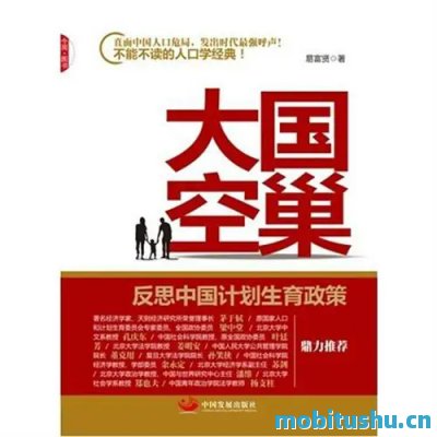 大国空巢：反思中国计划生育政策 (易富贤) .mobi 人口学著作